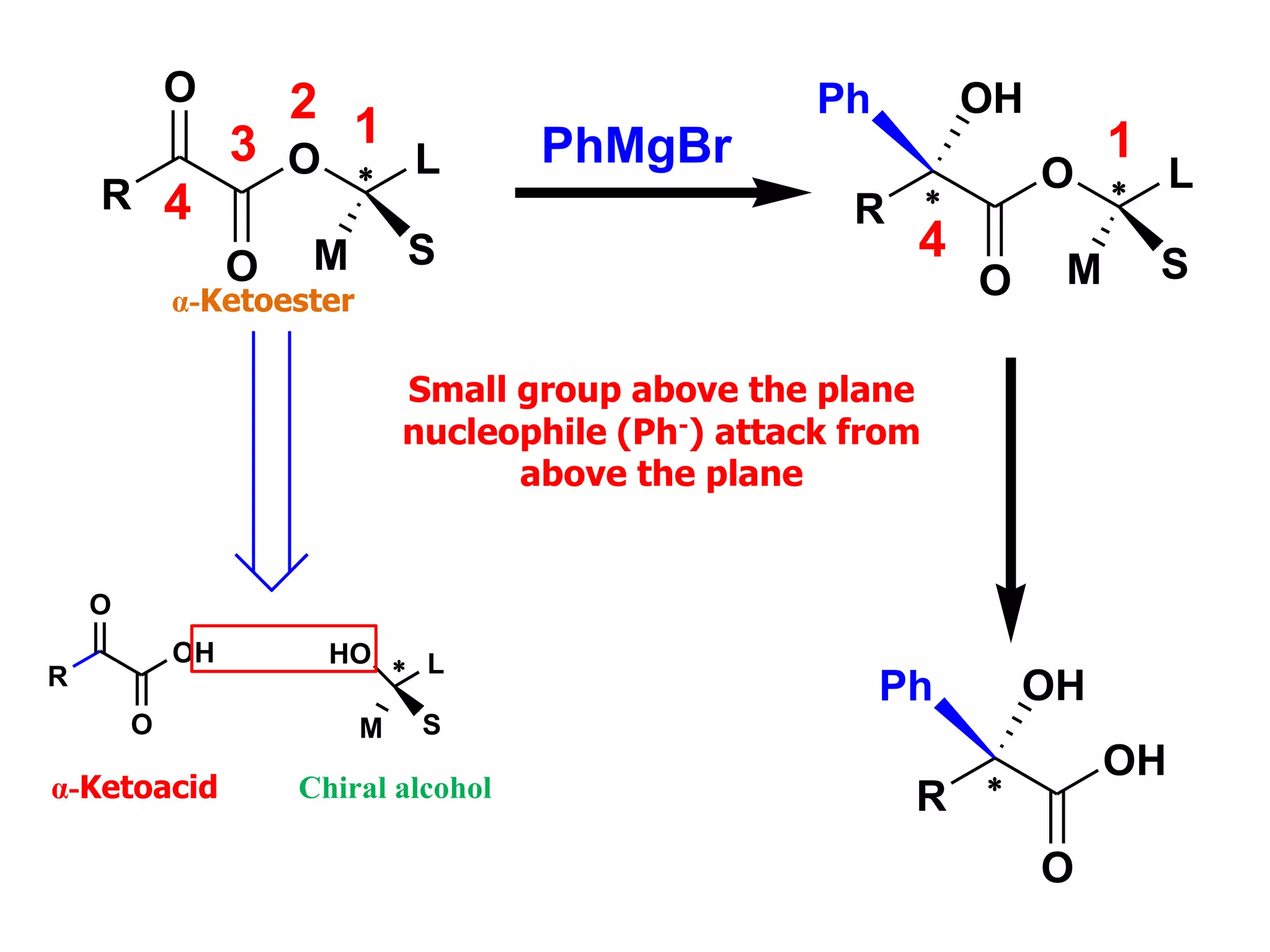 R
OH 
O
O
L
M S
HO
R
O 
O
O
L
M S
12
3
4
PhMgBr
R 
O 
OH
O
L
M S
1
4
Ph
R 
OH
OH
O
Ph
Small group above the plane
nucleophile (Ph-) attack from
above the plane
α-Ketoacid Chiral alcohol
α-Ketoester
 