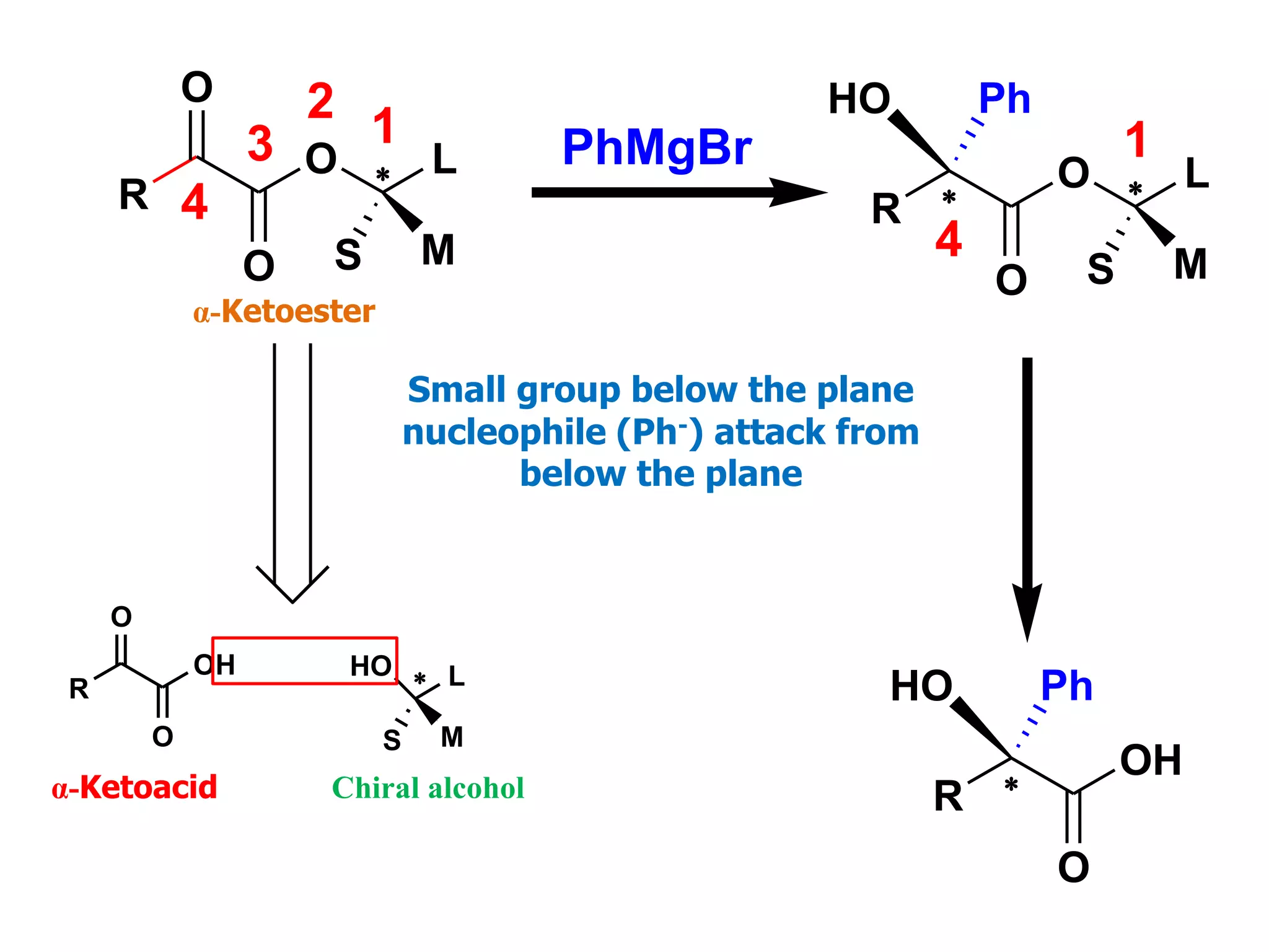 R
O 
O
O
L
S M
12
3
4
PhMgBr
R 
O 
Ph
O
L
S M
1
4
HO
R 
OH
Ph
O
HOR
OH 
O
O
L
S M
HO
Small group below the plane
nucleophile (Ph-) attack from
below the plane
α-Ketoacid Chiral alcohol
α-Ketoester
 