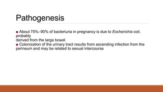 Asymptomatic bacteriuria in pregnancy co | PPTX
