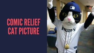 COMIC RELIEF
CAT PICTURE
 