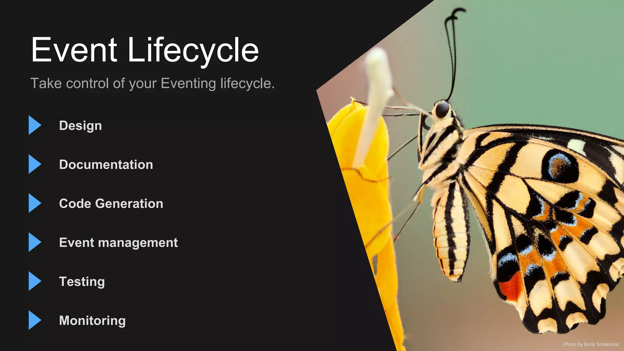 Event Lifecycle
Take control of your Eventing lifecycle.
Photo by Boris Smokrovic
Design
Documentation
Code Generation
Testing
Event management
Monitoring
 