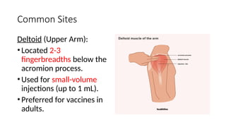 Comprehensive Guide to Safe Intramuscular and Intravenous Medication ...
