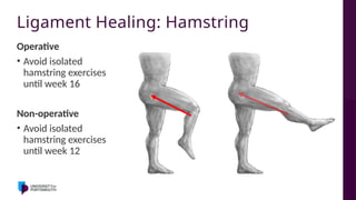 Asynch - Treatment and Early Rehabilitation of PCL Injuries.pptx
