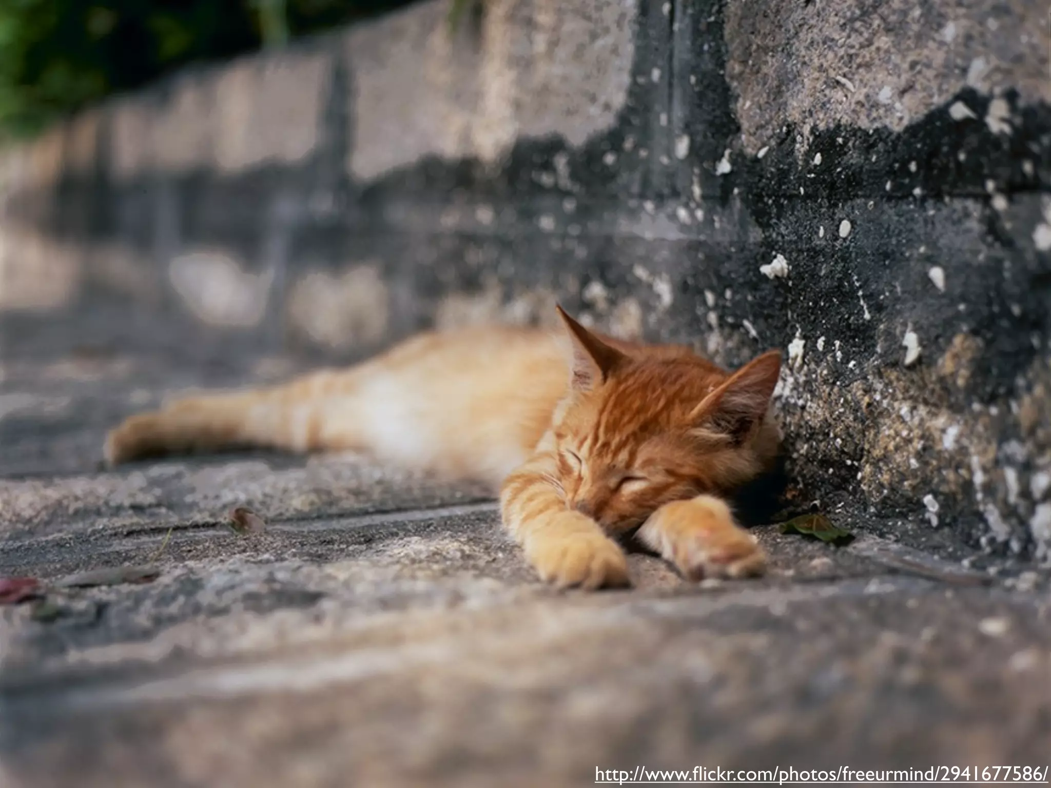 The Current State of Asynchronous Processing With Ruby