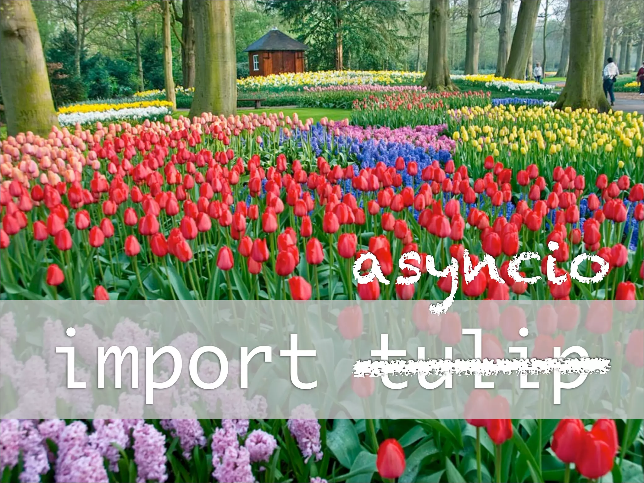 asyncio

import tulip

 