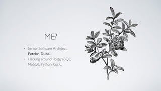 ME?
• Senior Software Architect,
Fetchr, Dubai
• Hacking around PostgreSQL,
NoSQL, Python, Go, C
 