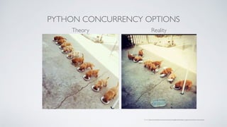 PYTHON CONCURRENCY OPTIONS
Theory Reality
Source: https://www.reddit.com/r/aww/comments/2oagj8/multithreaded_programming_theory_and_practice
 