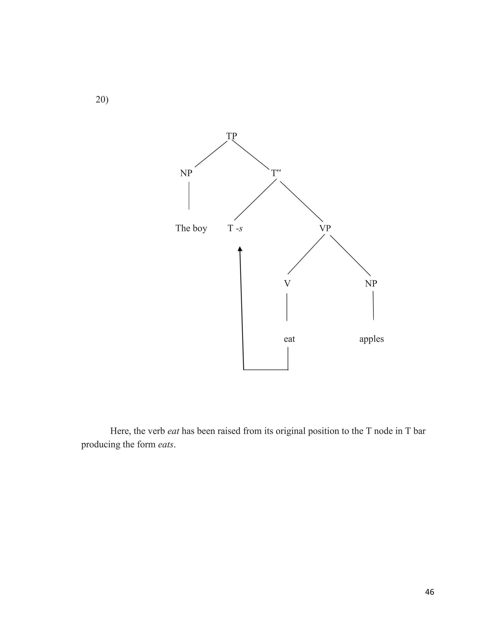 20)
TP
NP T‟
The boy T -s VP
V NP
eat apples
Here, the verb eat has been raised from its original position to the T node in T bar
producing the form eats.
46
 