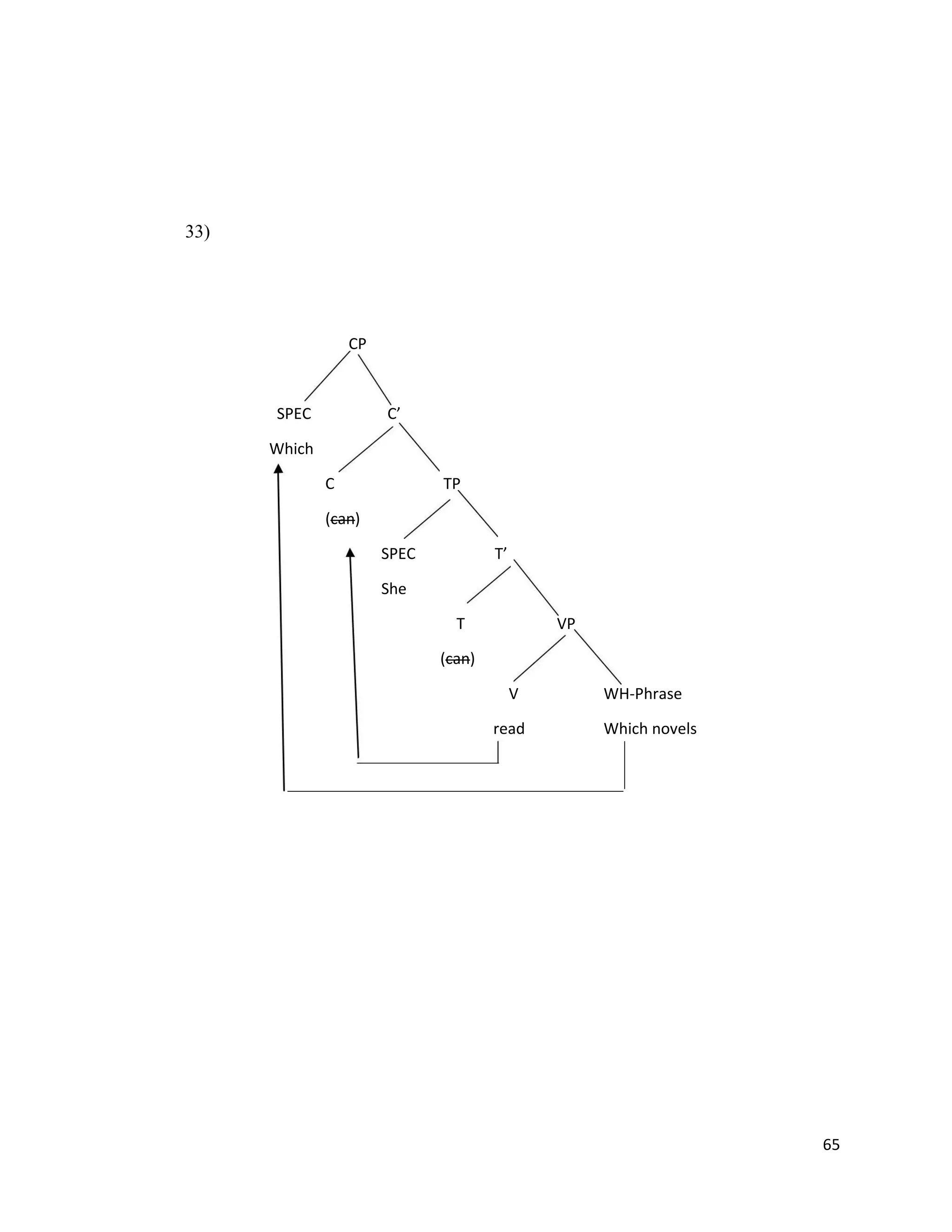 33)
CP
SPEC C’
Which
C TP
(can)
SPEC T’
She
T VP
(can)
V WH-Phrase
read Which novels
65
 