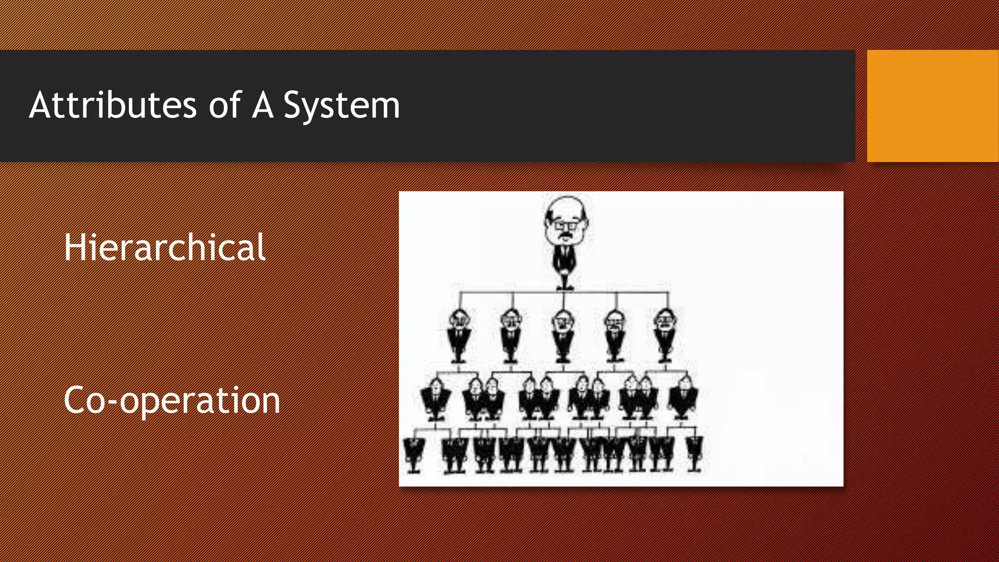 Attributes of A System
Hierarchical
Co-operation
 