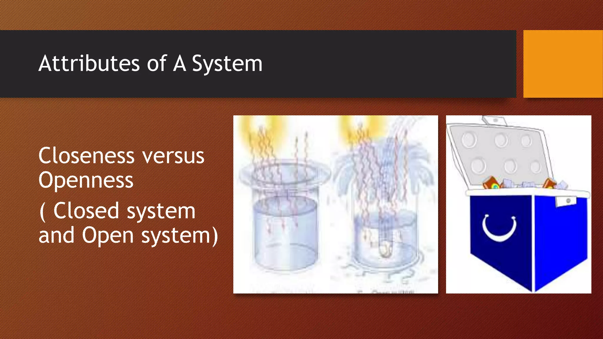 Attributes of A System
Closeness versus
Openness
( Closed system
and Open system)
 