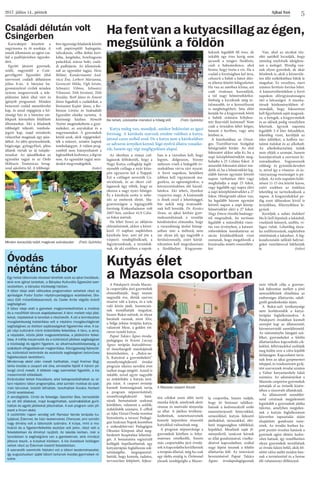 Ajkai Szó2017. július 14., péntek
5
Ha fent van a kutyacsillag az égen,
megsülünk a földön
Kutyás élet
a Mazsola csoportban
Az ókorban a római csil-
lagászok felfedezték, hogy a
Nagy Kutya csillagkép legfé-
nyesebb csillaga a nyár köze-
pén egyszerre kel a Nappal.
Ezt a csillagot nevezték Ca-
niculának, és az ókori csil-
lagászok úgy vélték, hogy az
okozza a nagy nyári hőséget.
És a kánikula azóta is nehe-
zíti az emberek életét. Ma-
gyarországon a legnagyobb
forróság Kiskunhalason volt
2007-ben, amikor 41,9 Celsi-
us fokot mértek. 
Ha lehet hinni az időjárás
előrejelzésnek, akkor a követ-
kező 15 napban napközben
kánikula lesz, ami jól jön a
vízparti vendéglősöknek, a
fagyiárusoknak, a strandok-
nak, de aki ezekben a napok-
ban is a városban kell, hogy
legyen, dolgozzon, bizony
nehezen viseli a hidegebb év-
szakokban várva várt nyarat.
A forró napokon, hetekben
jobban kell vigyáznunk ma-
gunkra, az egészségünkre, a
környezetünkben élő háziál-
latokra. Aki teheti, ilyenkor
vízpartra megy. A kismamák
is élnek ezzel a lehetőséggel,
bár nekik még óvatosabb-
nak kell lenniük. Dr. Kovács
Ilona, az ajkai kórház gyer-
mekosztályának a vezetője
kérdésünkre elmondta, hogy
a várandósság utolsó hónap-
jaiban már a méhszáj nem
zár olyan jól, így nagyobb a
fertőzésveszély, ezért körül-
tekintően kell megválasztani
a fürdőhelyet. Kisgyerme-
keknek legalább fél éves, de
inkább egy éves korig nem
javasolt a tengeri fürdőzés,
csak a babamedence, ahol
biztos, hogy tiszta a víz. Ha a
család a forróságban kel útra,
célszerű a babát a hátsó ülés-
re ültetni felnőtt felügyelettel.
Ha van az autóban klíma, azt
csak óvatosan használjuk,
a túl nagy hőmérsékletkü-
lönbség a kicsiknek még ár-
talmasabb, és a kereszthuzat
is megbetegítheti. Séta előtt
kenjük be a kisgyermek bőrét
a babák számára kifejlesz-
tett fényvédő krémmel! Nem
csak a strandon lehet leégni,
hanem a kertben, vagy séta
közben is. 
A kánikulában az Orszá-
gos Tisztifőorvosi Szolgálat
hőségriadót hirdet. Az első
fokozatot akkor adja ki, ha a
napi középhőmérséklet meg-
haladta a 25 Celsius fokot. A
második fokozatot akkor ren-
delik el, ha a hőmérséklet leg-
alább három egymást követő
napon várhatóan eléri vagy
meghaladja a napi 25 fokot,
vagy legalább egy napra eléri
a napi középhőmérséklet a 27
fokot. Hőségriadó akkor van,
ha legalább három egymást
követő napon a napi közép-
hőmérséklet eléri a 27 fokot.
Nagy Emese tűzoltó hadnagy-
tól megtudtuk, ha tartósan
legalább a másodfokú riasz-
tás van érvényben, a kataszt-
rófavédelem munkatársai az
utcán közlekedőknek vizet
osztanak, hogy megelőzzék a
kiszáradás miatti rosszulléte-
ket. 
Van, ahol az utcákat tűz-
oltó autóból locsolják, hogy
némileg enyhítsék ideiglene-
sen a meleget. Mindig van-
nak olyan gyerekek, de akár
felnőttek is, akik a közterüle-
ten álló szökőkútban hűtik le
magukat. Ez veszélyes, mert
számos fertőzés forrása lehet.
A katasztrófavédelem a forró
napokon elővigyázatosságra
inti a lakosságot. A munka-
társak közleményükben el-
mondják, hogy fokozottan
kell figyelnünk saját magunk-
ra, a betegek, a kisgyermekek
és az idősek pedig veszélyben
lehetnek. Igyunk naponta
legalább 3-4 liter folyadékot,
lehetőleg vizet, kerüljük az
édes üdítőket, a koffein tar-
talmú italokat és az alkoholt.
Az alkoholtartalmú italok
nem oltják a szomjat, hanem
hozzájárulnak a szervezet ki-
száradásához. Fogyasszunk
zöldség- és gyümölcsleveket
is, mivel így a vitamin- és ás-
ványianyag-veszteséget is pó-
toljuk. Az erős napsütés külö-
nösen 11-15 óra között káros,
ezért ezekben az órákban
lehetőleg ne tartózkodjunk a
napon. A kisgyerekekkel pe-
dig ezen időszakon kívül is
árnyékban, félárnyékban le-
gyünk. 
Kerüljük a nehéz ételeket!
Ha ki kell lépnünk a lakásból,
viseljünk könnyű, szellős, vi-
lágos ruhát. Lehetőleg éjsza-
ka szellőztessünk, napközben
sötétítsünk a lakásban. A lég-
kondicionáló nélküli helyisé-
geket ventilátorral hűthetjük
le. (tisler)
Kutya meleg van, mondjuk, amikor beköszönt az igazi
forróság. A kánikula szavunk eredete valóban a kutya,
latinul canis szóból ered. De a kutya nem a kánikulában
az udvaron árnyékot kereső, lógó nyelvű állatra vonatko-
zik, hanem egy régi megfigyelésen alapul.
Aki teheti, vízközelbe menekül a hőség elől (Fotó: Györkös)
Kavicsképet készített a
nagymama és öt unokája. A
másik állomáson az egész csa-
lád a padlójárásban ügyeske-
dett.
Együtt játszott gyermek,
szülő, nagyszülő a Csin-
gervölgyért Egyesület által
szervezett családi délutánon
július 8-án. A bányász ha-
gyományőrző civilek minden
nyáron megszervezik a tele-
pülésrész lakói által várt és
igényelt programot. Minden
benevező család menetlevelet
kap, és azzal végigjárja a kö-
zösségi ház és a bányász em-
lékpark környékén felállított
állomásokat. Aki a feladatok
többségét teljesíti, tombola-
jegyet kap, majd mindenki
választhat magának egy aján-
dékot. Az idén sporteszközök,
búgócsiga, gyöngyfűző, plüss
állatok várták az új tulajdo-
nosukat. Az ajándékokat az
egyesület tagjai és az Ordo
Militaris Teutonicus lovag-
rend ajánlotta fel. A többségé-
ben ügyességi feladatok között
volt papírrepülő hajtogatás,
talicskázás, célba dobás kari-
kába, lengőteke, bowlingozás
palackkal, száraz hoki, csalá-
di padlójárás. Az állomások-
nál az egyesület tagjai, Henc
Béláné, Kundermanné And-
róczi Éva, Lorbert Marianna,
Gerencsér Hilda, Vígh István,
Schwarcz Vilmos, Schwarcz
Vilmosné, Tóth Istvánné, Tóth
Rozália, Beitl János és Áment
János fogadták a családokat, a
lövészetet Kajtár János, a Ro-
binson Lövész és Szabadidő
Egyesület elnöke tartotta. A
közösségi házban Németh
Noémi megénekeltette a gyer-
mekeket, az anyukákat és a
nagymamákat. A gyermekek
közül azok, akik végigénekel-
ték a műsort, szintén kaptak
tombolajegyet. A vidám prog-
ramból nem hiányozhatott a
legkisebbek kedvence, a légvár
sem. Az egyesület tagjai min-
denkit megvendégeltek.
(tisler)
Családi délután volt
Csingerben
Minden korosztály talált magának szórakozást (Fotó: Györkös)
Óvodás
néptánc tábor
Egy hetes táborozás részesei lehettek azok az ajkai óvodások,
akik erre igényt tartottak, a Bányász Kulturális Egyesület szer-
vezésében, a bányász közösségi házban.
A tábor ideje alatt változatos programokon vehettek részt az
apróságok Fodor Eszter néptáncpedagógus vezetésével, Ora-
vecz Edit művelődésszervező, és Cseke Anita végzős óvónő
segítségével.
A tábor ideje alatt a gyerekek megismerkedhettek a moldvai
és a mezőföldi táncok alaplépéseivel. A tánc mellett népi játé-
kokat, népdalokat is tanultak a résztvevők. A cél a természetes
mozgáskészség kialakítása volt a néptánc mozgásvilágának
segítségével, az életkori sajátosságokat figyelembe véve. A sa-
ját népi kultúránk iránti érdeklődés felkeltése. A tánc, a zene,
a népdalok, közös játék megszerettetése, a játéköröm felkel-
tése. A tréfás kiszámolók és a különböző játékok segítségével
a közösségi és egyéni figyelem, az alkalmazkodóképesség, a
szabályok elfogadásának megtanítása. Kézügyesség fejleszté-
se, különböző technikák és eszközök segítségével (kézműves
foglalkozások keretében).
Mindennap ebéd után mesét hallhattak, majd Kreiner Bog-
lárka óvodás a csoport elé ülve, elmesélte fejből A három pil-
langó című mesét. A többiek nagy szemekkel figyelték, a kis
mesemondó előadását.
Kirándulást tettek Kiscsőszre, ahol bekapcsolódhattak az ot-
tani néptánc tábor programjába, ahol szintén moldvai és szat-
mári táncokat, botolót láthattak, tanulhattak Kovács Norbert
Cimbi vezetésével.
A vendéglátók, Cimbi és felesége, Gaschler Bea, bemutatták
az ott élő állatokat, majd lovagolhattak, szalmabálákat gurít-
hattak és egyéb játékokat játszhattak. A sok program után jól-
esett a finom ebéd.
A csütörtöki napon vendég volt Ramasz Vanda terápiás ku-
tyájával, Édennel, és házi kedvencével, Cherryvel, ami szintén
nagy élmény volt a táborozók számára. A kutya, mint a mo-
tiváció és a figyelemfelkeltés eszköze volt jelen, részt vett a
feladatokban és élményt nyújtott. Az iskolás korban, már a
tanulásban is segítségükre van a gyerekeknek, akik mindezt
játszva teszik, a kutyával közösen. A kis óvodások boldogan
vettek részt az Édennek kiadott feladatokban.
A szervezők szeretnék folytatni ezt a tábori kezdeményezést,
így augusztusban újabb tábort tartanak óvodás gyermekek ré-
szére.
A Patakparti óvoda Mazso-
la csoportjába járó gyermekek
elmondhatják, hogy immár
negyedik éve, életük szerves
részévé vált a kutya, és a vele
való közös játék. Szerencsés-
nek mondhatják magukat,
hiszen Buksi-sulisok, és olyan
barátaik vannak, mint Aliz,
a belga juhász terápiás kutya,
valamint Mese, a golden ret-
riever tanuló kutya.
Papné Takács Ágnes óvoda-
pedagógus és Kissné Laczay
Ágnes terápiás kutyafelveze-
tő összehangolt munkájának
köszönhetően, a „Buksi-su-
li, Kutyával a gyermekekért”
személyiségfejlesztő óvodai
program sikeres nevelési évet
tudhat maga mögött. Annál is
inkább, mivel egyre nagyobb
az érdeklődés a kutyás terá-
pia iránt. A csoport óvónője
kiemelt fontosságúnak tartja
a program népszerűsítését,
személyiségfejlesztő hatá-
sának bemutatását szakmai
körökben, valamint a szülők,
érdeklődők számára. E célból
az Ajka Városi Óvoda vezetése
biztosította a tavaszi Pedagó-
giai Szakmai Napok keretében
a székesfehérvári Pedagógiai
Oktatási Központ által meg-
hirdetett hospitálási lehetősé-
get. A bemutatóra regisztrált
kollégák bepillanthattak egy
kutyaterápiás foglalkozás sok-
színűségébe, megtapasztal-
hatták, hogy komoly, tudatos,
tervszerűen felépített, fejlesz-
tési célokat szem előtt tartó
munka folyik, amelynek aktív
részese és motiváló tényezője
az állat. A játékos tevékeny-
kedtetések, ismeretszerzések
komoly képzésben részesült
kutyákkal valósulnak meg.
A program népszerűsége a
gyermekek körében is folya-
matosan emelkedik, hiszen
más csoportokba járó óvodá-
sok is kapcsolatba kerülhetnek
a terápiás állattal, még ha csak
egy ölelés erejéig is. Örömmel
jönnek vendégségbe a Mazso-
la csoportba, hiszen tudják,
hogy itt biztosan találkoz-
hatnak a kedvencekről szóló
ismeretterjesztő könyvekkel,
színezőkkel, kutyás fejlesztő
játékokkal, társasokkal, elér-
hető magasságban tablókkal,
képekkel. Mesélnek saját él-
ményeikről, tanácsot kérnek
az állat gondozásával, viselke-
désével kapcsolatban, ezáltal
nagy lépést tesznek a felelős
állattartás felé. Az innováció
bevezetésével Papné Takács
Ágnes óvodapedagógusnak
nem titkolt célja a gyerme-
kek fejlesztése mellett a jövő
nemzedékének elindítása az
emberséges állattartás, odafi-
gyelő gondoskodás útján.
A Buksi-suli tevékenysége
nem korlátozódik a kutya-
terápiás foglalkozásokra. A
Patakparti óvodában kiemelt
szerepet kap az állatszerető,
környezetvédő szemléletmód.
Az intézménybe látogató szü-
lőket, gyermekeket a felelős
állattartáshoz kapcsolódó cik-
kekkel, felhívásokkal szólítják
meg külön erre a célra kijelölt
faliújságon. Kapcsolatot tarta-
nak fenn az ajkai gyepmesteri
teleppel, és rendszeresen gyűj-
tést szerveznek óvodai szinten
a Vahur kutyamenhely lakói
számára. Az adományokat a
Mazsola csoportos gyermekek
juttatják el az óvónők kísére-
tében a rászoruló állatoknak.
Az állatszerető szemlélet-
mód csíráinak megjelenését
leginkább a gyermekek játéka
tükrözi, amelyben megjelen-
nek a kutyás foglalkozáson
közvetlen tapasztalás útján
elsajátított gondozási isme-
retek. Az óvodás korban ka-
pott pozitív érzelmi hatások a
gyermek egész életére kedve-
zően hatnak, így remélhetően
olyan gyermekek nevelődnek
az óvoda falain belül, akik fel-
nőtté válva méltó módon bán-
nak a természettel és a benne
élő valamennyi élőlénnyel.
A Mazsola csoport Alizzal
 