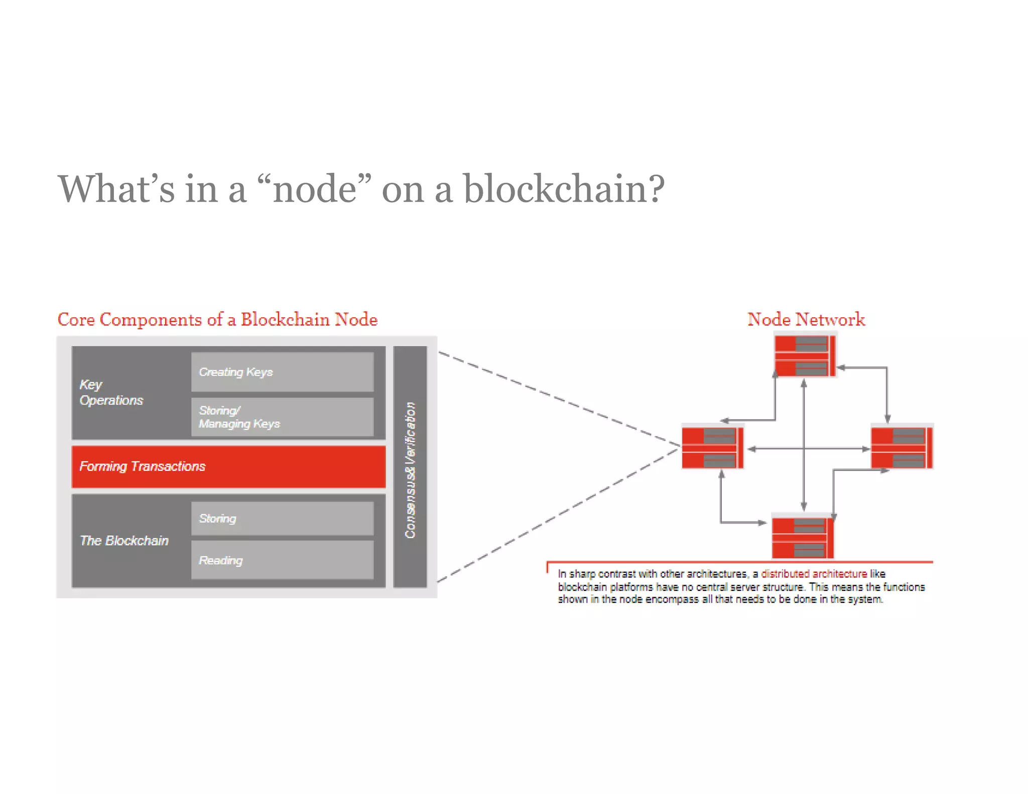 What’s in a “node” on a blockchain?
 