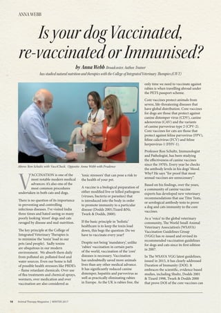10 Animal Therapy Magazine | WINTER 2017
IsyourdogVaccinated,
re-vaccinatedorImmunised?
ANNA WEBB
V
ACCINATION is one of the
most notable modern medical
advances: it’s also one of the
most common procedures
undertaken in both cats and dogs.
There is no question of its importance
in preventing and controlling
infectious diseases. I’ve visited India
three times and hated seeing so many
poorly looking ‘street’ dogs and cats
ravaged by disease and mal-nutrition.
The key principle at the College of
Integrated Veterinary Therapies is
to minimise the ‘toxin’ load in our
pets (and people). Sadly toxins
are ubiquitous in our modern
environment. We absorb them daily
from polluted air, polluted food and
water sources. Even our home is full
of possible health stressors like PBDE’s
– flame retardant chemicals. Over use
of flea treatments and chemical sprays,
wormers, over medication and over
vaccination are also considered as
‘toxic stressors’ that can pose a risk to
the health of your pet.
A vaccine is a biological preparation of
either modified live or killed pathogens
(viruses, bacteria or parasites) that
is introduced into the body in order
to promote immunity to a particular
disease (Dodds 2001;Tizard &Ni;
Twark & Dodds, 2000).
If the basic principle in ‘holistic’
healthcare is to keep the toxin load
down, this begs the question: Do we
have to vaccinate every year?
Despite not being ‘mandatory’, unlike
‘rabies’ vaccination in certain parts
of the world, vaccination of the ‘core’
diseases is necessary. Vaccination
has undoubtedly saved more animals
lives than any other medical advance.
It has significantly reduced canine
distemper, hepatitis and parvovirus as
well as practically eliminating rabies
in Europe. As the UK is rabies free, the
only time we need to vaccinate against
rabies is when travelling abroad under
the PETS passport scheme.
Core vaccines protect animals from
severe, life-threatening diseases that
have global distribution. Core vaccines
for dogs are those that protect against
canine distemper virus (CDV), canine
adenovirus (CAV) and the variants
of canine parvovirus type 2 (CPV-2).
Core vaccines for cats are those that
protect against feline parvovirus (FPV),
feline calicivirus (FCV) and feline
herpesvirus-1 (FHV-1).
Professor Ron Schultz, Immunologist
and Pathologist, has been studying
the effectiveness of canine vaccines
since the 1970’s. Every year he checks
the antibody levels in his dogs’ blood.
Why? He says “for proof that most
annual vaccines are unnecessary”.
Based on his findings, over the years,
a community of canine vaccine
experts has developed new veterinary
recommendations that use Titre Tests,
or serological antibody tests to prove
a dog and cats immunity to the core
vaccines.
As a ‘voice’ to the global veterinary
community, The World Small Animal
Veterinary Association’s (WSAVA)
Vaccination Guidelines Group
(VGG) has re-issued and revised its
recommended vaccination guidelines
for dogs and cats since its first edition
in 2007.
In The WSAVA VGG latest guidelines,
issued in 2015, it has clearly addressed
Duration of Immunity (DOI). It
embraces the scientific, evidence based
studies, including Shultz, Dodds 2001
& Tizard 1998, Twark & Dodds 2000
that prove DOI of the core vaccines can
byAnnaWebb Broadcaster,Author,Trainer
hasstudiednaturalnutritionandtherapieswiththeCollegeofIntegratedVeterinaryTherapies(CIVT)
10 Animal Therapy Magazine | WINTER 2017
Above: Ron Schultz with VacciCheck. Opposite: Anna Webb with Prudence
 