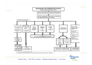ELSM Le Mans - FMC PSSL Le Bailleul - Maladies Professionnelles - 15 mai 2012
 