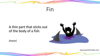 Fin
A thin part that sticks out
of the body of a fish.
(noun)
 