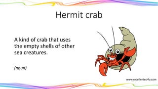 Hermit crab
A kind of crab that uses
the empty shells of other
sea creatures.
(noun)
 