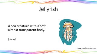 Jellyfish
A sea creature with a soft,
almost transparent body.
(noun)
 