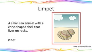 Limpet
A small sea animal with a
cone-shaped shell that
lives on rocks.
(noun)
 