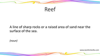 Reef
A line of sharp rocks or a raised area of sand near the
surface of the sea.
(noun)
 