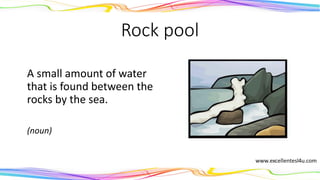 Rock pool
A small amount of water
that is found between the
rocks by the sea.
(noun)
 