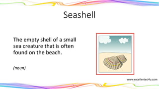 Seashell
The empty shell of a small
sea creature that is often
found on the beach.
(noun)
 