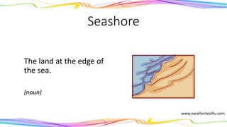 Seashore
The land at the edge of
the sea.
(noun)
 