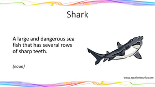 Shark
A large and dangerous sea
fish that has several rows
of sharp teeth.
(noun)
 