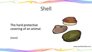 Shell
The hard protective
covering of an animal.
(noun)
 