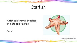 Starfish
A flat sea animal that has
the shape of a star.
(noun)
 