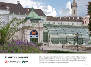 Mitten im Burggarten beﬁndet sich das Heim von farbenprächtigen Schmetterlingen.
Mit Wasserfällen und Teichen wurde ein kleiner Regenwald nachgebildet, der den e-
xotischen Tieren als Wohnbereich dient. Neben den freiﬂiegenden Schmetterlingen
kann man auch beobachten, wie die Tiere schlüpfen.
18
SCHMETTERLINGHAUS
1, 2, D, 71 Burgring 57A
 