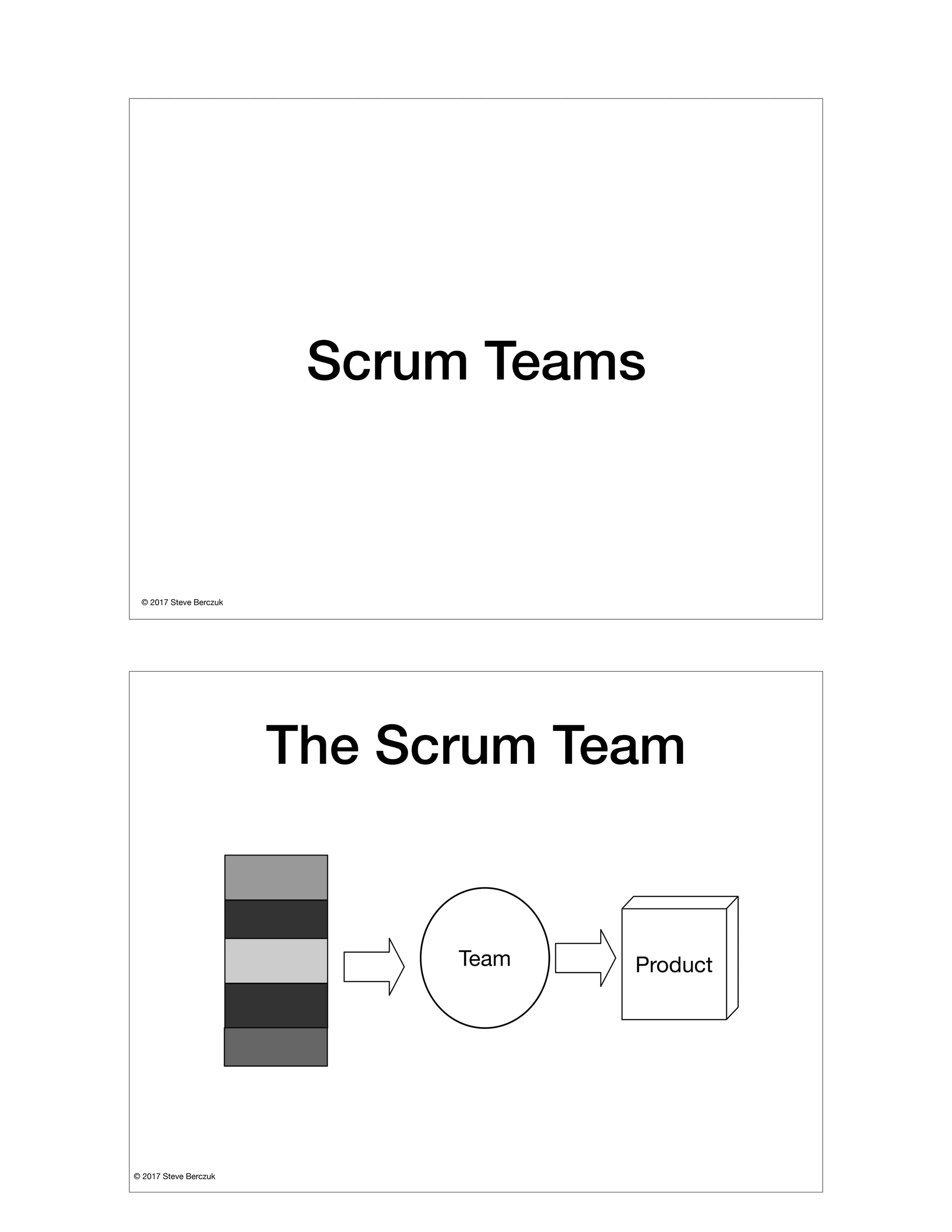 © 2017 Steve Berczuk

Scrum Teams
© 2017 Steve Berczuk

The Scrum Team
 