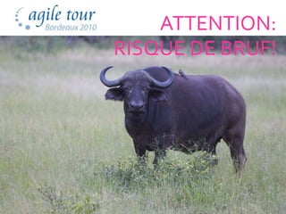 ATTENTION:
RISQUE DE BRUF!




             90
 