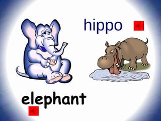 elephant hippo