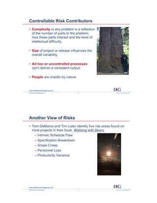 Hoc Risk Managing Risk in Agile Development: It Isn’t Magic | PDF