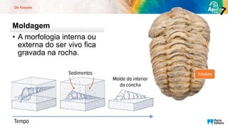 Os fósseis
Moldagem
• A morfologia interna ou
externa do ser vivo fica
gravada na rocha.
Trilobite
 
