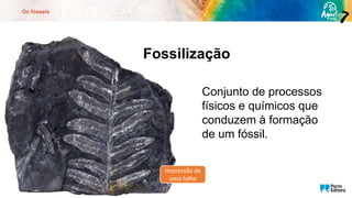 Os fósseis
Fossilização
Conjunto de processos
físicos e químicos que
conduzem à formação
de um fóssil.
Impressão de
uma folha
 