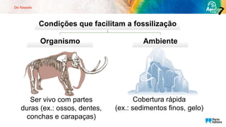 Os fósseis
Condições que facilitam a fossilização
Organismo Ambiente
Ser vivo com partes
duras (ex.: ossos, dentes,
conchas e carapaças)
Cobertura rápida
(ex.: sedimentos finos, gelo)
 