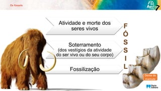 Os fósseis
F
Ó
S
S
I
L
Fossilização
Soterramento
(dos vestígios da atividade
do ser vivo ou do seu corpo)
Atividade e morte dos
seres vivos
Dente de
mamute
 