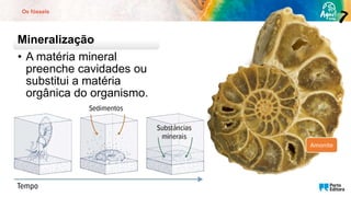 Os fósseis
Mineralização
• A matéria mineral
preenche cavidades ou
substitui a matéria
orgânica do organismo.
Amonite
 
