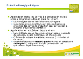 Protection Biologique Intégrée




   Application dans les serres de production et les
   serres botaniques depuis plus de 10 ans
      Lutte intégrée contre l’ensemble des ravageurs
      Installation de prairies fleuries et zones arbustives à
      proximité des serres de production pour développer la
      présence d’auxiliaires spontanés
   Application en extérieur depuis 4 ans
      Lutte intégrée contre l’ensemble des ravageurs : apports
      d’auxiliaires, pièges mécaniques et phéromones
      Création de refuges à auxiliaires naturels (coccinelles et
      chrysopes)
      Expérimentations sur Metcalfa pruinosa avec un parasitoïde
      (Neodryinus), le tigre du platane (enlèvement des
      rythidomes, expérimentations)


                                                                Organisé par
 
