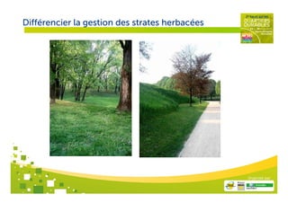 Différencier la gestion des strates herbacées




                                                Organisé par
 