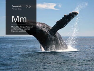 Desarrollo
Primera Tarea
Mm
Machalilla - Parque Nacional
Avistamiento de ballenas
Deportes acuáticos
 
