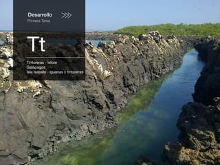 Desarrollo
Primera Tarea
Tt
Tintoreras - Islote
Galápagos
Isla Isabela - iguanas y tintoreras
 