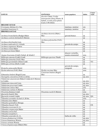 ESPÉCIE SINÔNIMOS nomes populares hábito
Conser
vação
discolor Cham; Cordia
monosperma (Jacq.) Roem. &
Schult.; Cordia polycephala
(Lam.) I.M.Johnst.
BRASSICACEAE
Coronopus didymus (L.) Sm. mastruço, mentruz era
Lepidium bonariense L. mastruço, mentruz ee
BROMELIACEAE
Aechmea bromeliifolia (Rudge) Baker
Aechmea tinctoria (Mart.)
Mez gravatá-branco ep
Aechmea coelestis (K.Koch) E.Morren ep
Aechmea distichantha Lem.
Aechmea polystachia (Vell.)
Mez ep
Aechmea nudicaulis (L.) Griseb. gravatá-do-campo ep
Aechmea organensis Wawra ep
Aechmea ornata Baker ep
Aechmea pectinata Baker ep
Ananas bracteatus (Lindl.) Schult. & Schult.f.
abacaxi-vermelho,
ananás-ornamental eros
Billbergia amoena (Lodd.) Lindl. Billbergia speciosa Thunb. ep
Billbergia distachia (Vell.) Mez ep
Billbergia pyramidalis (Sims) Lindl. ep VU
Billbergia zebrina (Herb.) Lindl. ep
Bromelia antiacantha Bertol.
gravatá-do-campo,
caraguatá eros
Dyckia tuberosa (Vell.) Beer Dyckia coccinea Mez eros
Edmundoa lindenii (Regel) Leme
Canistrum lindenii (Regel)
Mez ep
Neoregelia concentrica (Vell.) L.B.Sm. ep, eros
Nidularium amazonicum (Baker) Linden & E.Morren
ex Lindm. ep, eros
Nidularium innocentii Lem. ep, eros
Nidularium procerum Lindm. ep, eros
Nidularium rubens Mez eriz
Nidularium rutilans E.Morren ep
Pitcairnia flammea Lindl. Pitcairnia roezlii E.Morren eros
Quesnelia humilis Mez ep, eros
Quesnelia testudo Lindm. ep, eros QA
Tillandsia aeranthos (Loisel.) L.B.Sm. eros
Tillandsia dura Baker ep
Tillandsia geminiflora Brongn. ep
Tillandsia linearis Vell. ep EX
Tillandsia recurvata (L.) L. ep
Tillandsia streptocarpa Baker ep
Tillandsia stricta Sol. ep
Tillandsia tenuifolia L. ep
Tillandsia usneoides (L.) L. barba-de-velho ep
Vriesea altodaserrae L.B.Sm. ep, eros
Vriesea bituminosa Wawra ep, eros
Vriesea carinata Wawra ep
Vriesea drepanocarpa (Baker) Mez ep
 