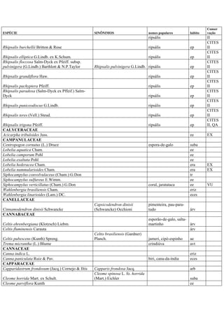 ESPÉCIE SINÔNIMOS nomes populares hábito
Conser
vação
ripsális II
Rhipsalis burchellii Britton & Rose ripsális ep
CITES
II
Rhipsalis elliptica G.Lindb. ex K.Schum. ripsális ep
CITES
II
Rhipsalis floccosa Salm-Dyck ex Pfeiff. subsp.
pulvinigera (G.Lindb.) Barthlott & N.P.Taylor Rhipsalis pulvinigera G.Lindb. ripsális ep
CITES
II
Rhipsalis grandiflora Haw. ripsális ep
CITES
II
Rhipsalis pachyptera Pfeiff. ripsális ep
CITES
II
Rhipsalis paradoxa (Salm-Dyck ex Pffeif.) Salm-
Dyck ripsális ep
CITES
II
Rhipsalis puniceodiscus G.Lindb. ripsális ep
CITES
II
Rhipsalis teres (Vell.) Steud. ripsális ep
CITES
II
Rhipsalis trigona Pfeiff. ripsális ep
CITES
II, QA
CALYCERACEAE
Acicarpha tribuloides Juss. ee EX
CAMPANULACEAE
Centropogon cornutus (L.) Druce espora-de-galo suba
Lobelia aquatica Cham. ee
Lobelia camporum Pohl ee
Lobelia exaltata Pohl ee
Lobelia hederacea Cham. era EX
Lobelia nummularioides Cham. era EX
Siphocampylus convolvulaceus (Cham.) G.Don tr
Siphocampylus sulfureus E.Wimm. ee
Siphocampylus verticillatus (Cham.) G.Don coral, jaratataca ee VU
Wahlenbergia brasiliensis Cham. eriz
Wahlenbergia linarioides (Lam.) DC. eces
CANELLACEAE
Cinnamodendron dinisii Schwancke
Capsicodendron dinisii
(Schwancke) Occhioni
pimenteira, pau-para-
tudo árv
CANNABACEAE
Celtis ehrenbergiana (Klotzsch) Liebm.
esporão-de-galo, salta-
martinho árv
Celtis fluminensis Carauta árv
Celtis pubescens (Kunth) Spreng.
Celtis brasiliensis (Gardner)
Planch. jameri, cipó-espinho ae
Trema micrantha (L.) Blume crindiúva avt
CANNACEAE
Canna indica L. eriz
Canna paniculata Ruiz & Pav. biri, cana-da-índia eces
CAPPARACEAE
Capparidastrum frondosum (Jacq.) Cornejo & Iltis Capparis frondosa Jacq. arb
Cleome horrida Mart. ex Schult.
Cleome spinosa L. fo. horrida
(Mart.) Eichler suba
Cleome parviflora Kunth ee
 