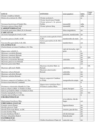 ESPÉCIE SINÔNIMOS nomes populares hábito
Conser
vação
Cleome viridiflora Schreb. suba
Hemiscola aculeata (L.) Raf. Cleome aculeata L. ee
Tarenaya hassleriana (Chodat) Iltis
Cleome hassleriana Chodat;
Cleome spinosa L. fo. spinosa
Eichler mussambê suba
Tarenaya spinosa (Jacq.) Raf. Cleome spinosa Jacq. mussambê suba
CARDIOPTERIDACEAE
Citronella paniculata (Mart.) R.A.Howard falsa-congonheira árv
CARICACEAE
Jacaratia heptaphylla (Vell.) A.DC. jaracatiá, mamãozinho árv
Jacaratia spinosa (Aubl.) A.DC.
Jacaratia dodecaphylla (Vell.)
A.DC. mamãozinho-do-mato árv
Vasconcellea quercifolia A.St.-Hil.
Carica quercifolia (A.St.-Hil.)
Hieron. mamão-bravo avt
CELASTRACEAE
Cheiloclinium serratum (Cambess.) A.C.Sm. tr
Hippocratea volubilis L.
cipó-de-borracha, cipó-
preto tr
Maytenus cestrifolia Reissek árv
Maytenus communis Reissek árv
Maytenus dasyclada Mart. árv QA
Maytenus evonymoides Reissek cafezinho árv
Maytenus glaucescens Reissek arb
Maytenus gonoclada Mart. avt
Maytenus officinalis Mabb.
Maytenus ilicifolia Mart. ex
Reissek espinheira-santa avt
EX
Maytenus robusta Reissek
Maytenus alaternoides
Reissek cafezinho árv
Maytenus salicifolia Reissek cafezinho árv
Maytenus subalata Reissek avt
Peritassa campestris (Cambess.) A.C.Sm.
Salacia campestris Cambess.
ex Walp. manguinha-do-campo arb
Peritassa hatschbachii Lombardi tr
Pristimera celastroides (Kunth) A.C.Sm.
Hippocratea riedeliana Peyr.;
Pristimera andina Miers tr
Salacia elliptica (Mart. ex Schult.) G.Don siputá, bacupari avt
Salacia grandifolia (Mart. ex Schult.) G.Don avt
Tontelea leptophylla A.C.Sm. árv VU
Tontelea miersii (Peyr.) A.C.Sm. tr
CHLORANTHACEAE
Hedyosmum brasiliense Miq.
erva-cidreira, chá-de-
bugre avt
CHRYSOBALANACEAE
Couepia venosa Prance figueira-branca árv
Hirtella glaziovii Taub. árv
Hirtella hebeclada Moric. ex DC. cinzeiro, pau-de-lixa árv
Licania hoehnei Pilg. árv
Licania kunthiana Hook.f. oiti-de-morcego árv
Parinari obtusifolia Hook.f. fruta-de-ema arb
CLETHRACEAE
Clethra scabra Pers. Clethra brasiliensis Cham. & carne-de-vaca árv
 