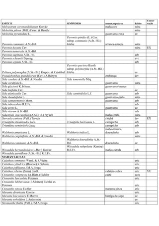ESPÉCIE SINÔNIMOS nomes populares hábito
Conser
vação
Malvastrum coromandelianum Garcke malvastro suba
Melochia pilosa (Mill.) Fawc. & Rendle suba
Melochia pyramidata L. guanxuma-roxa ee
Pavonia communis A.St.-Hil.
Pavonia spinifex (L.) Cav.
subsp. communis (A.St.-Hil.)
Gürke arranca-estrepe suba
Pavonia hastata Cav. suba EX
Pavonia nemoralis A.St.-Hil.
Pavonia sagittata A.St.-Hil. arb
Pavonia schrankii Spreng. avt
Pavonia sepium A.St.-Hil. arb
Peltaea polymorpha (A.St.-Hil.) Krapov. & Cristóbal
Pavonia speciosa Kunth
subsp. polymorpha (A.St.-Hil.)
Gürke ee
Pseudobombax grandiflorum (Cav.) A.Robyns embiruçu árv
Sida caudata A.St.-Hil. & Naudin Sida tomentella Miq.
Sida cordifolia L. guanxuma suba
Sida glaziovii K.Schum. guanxuma-branca
Sida linifolia Cav. ee
Sida planicaulis Cav. Sida carpinifolia L.f. guanxuma arb
Sida rhombifolia L. guanxuma-preta suba
Sida santaremensis Mont. guanxuma arb
Sida tuberculata R.E.Fr. arb
Sida urens L. guanxuma ee
Sida viarum A.St.-Hil. arb
Sidastrum micranthum (A.St.-Hil.) Fryxell malva-preta suba
Sterculia curiosa (Vell.) Taroda chichá árv EX
Triumfetta rhomboidea Jacq. Triumfetta bartramia L. carrapicho arb
Triumfetta semitriloba Jacq. carrapicho arb
Waltheria americana L. Waltheria indica L.
malva-branca,
douradinha arb
Waltheria carpinifolia A.St.-Hil. & Naudin suba
Waltheria communis A.St.-Hil.
Waltheria douradinha A.St.-
Hil. douradinha ee
Wissadula hernandioides (L.Hér.) Garcke
Wissadula subpeltata (Kuntze)
R.E.Fr. malva-estrela arb
Wissadula parviflora (A.St.-Hil.) R.E.Fr.
MARANTACEAE
Calathea communis Wand. & S.Vieira eriz
Calathea cylindrica (Roscoe) K.Schum. eriz
Calathea joffilyana J.M.A.Braga eriz
Calathea zebrina (Sims) Lindl. calateia-zebra eriz VU
Ctenanthe compressa (A.Dietr.) Eichler caeté eces
Ctenanthe lanceolata Petersen eriz
Ctenanthe lubbersiana (E.Morren) Eichler ex
Petersen eriz
Ctenanthe setosa Eichler maranta-cinza eriz
Maranta divaricata Roscoe eriz
Maranta leuconeura E.Morren barriga-de-sapo ee
Maranta sobolifera L.Andersson ee
Stromanthe thalia (Vell.) J.M.A.Braga eriz
 