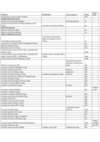 ESPÉCIE SINÔNIMOS nomes populares hábito
Conser
vação
Stromanthe tonckat (Aubl.) Eichler eriz
MARCGRAVIACEAE
Marcgravia polyantha Delpino hera-das-árvores ae
Schwartzia brasiliensis (Choisy) Bedell ex Gir.-
Cañas Norantea brasiliensis Choisy ep
MAYACACEAE
Mayaca fluviatilis Aubl. ea
Mayaca sellowiana Kunth ea
MELASTOMATACEAE
Acisanthera quadrata Pers.
Acisanthera alsinaefolia
(Mart. & Schrank ex DC.)
Triana ee
Acisanthera variabilis (Mart. & Schrank) Triana ee
Behuria insignis Cham. avt
Bertolonia mosenii Cogn. eriz
Cambessedesia espora (A.St.-Hil. ex Bonpl.) DC.
subsp. espora suba
Cambessedesia espora (A.St.-Hil. ex Bonpl.) DC.
subsp. ilicifolia (DC.) A.B.Martins
Cambessedesia ilicifolia (DC.)
Triana suba
Chaetostoma armatum (Spreng.) Cogn. suba
Huberia semiserrata DC.
quaresmeira-branca-
do-brejo, jacatirão-do-
brejo arb
Leandra acutiflora (Naudin) Cogn. arb
Leandra amplexicaulis DC. pixirica arb
Leandra aurea (Cham.) Cogn. quaresma arb
Leandra australis (Cham.) Cogn. Leandra atropurpurea Cogn. pixirica arb
Leandra barbinervis (Cham. ex Triana) Cogn. arb
Leandra bergiana Cogn. arb
Leandra brackenridgei (A.Gray) Cogn. arb
Leandra carassana (DC.) Cogn. arb
Leandra cardiophylla Cogn. pixirica arb
Leandra collina Wurdack arb
endêmi
ca SP
Leandra cordifolia Cogn.
Leandra cordigera (Triana) Cogn. arb
Leandra dasytricha (A.Gray) Cogn. pixirica arb
Leandra dubia DC. arb
Leandra erostrata (DC.) Cogn. arb
Leandra fallax (Cham.) Cogn. arb
Leandra foveolata (DC.) Cogn. arb
Leandra fragilis Cogn.
cambará-do-mato,
pixirica suba
Leandra gardneriana Cogn. arb
Leandra hirtella Cogn. arb
Leandra humilis (Cogn.) Wurdack sx
Leandra laevigata (Triana) Cogn. arb
Leandra lapae D'El Rei Souza & Baumgratz suba
endêmi
ca MSP
Leandra limbata Cogn. arb rara SP
Leandra melastomoides Raddi Leandra scabra DC. cambará-do-mato, arb
 