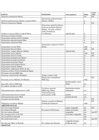 ESPÉCIE SINÔNIMOS nomes populares hábito
Conser
vação
Nautonia nummularia Decne. era QA
Orthosia guilleminiana (Decne.) Liede & Meve
Metastelma guilleminianum
(Decne.) Malme tr
Orthosia itatiaiensis Malme tr EX
Orthosia scoparia (Nutt.) Liede & Meve
Metastelma aphyllum Decne.;
Orthosia melantha (Decne.)
Malme; Tassadia subulata
(Vell.) Fontella &
E.A.Schwarz cipó-de-leite tr
Orthosia urceolata E.Fourn. tr
Oxypetalum alpinum (Vell.) Fontella tr
Oxypetalum appendiculatum Mart. tr
Oxypetalum capitatum Mart. tr EX
Oxypetalum erectum Mart.
Oxypetalum campestre (Vell.)
Decne. suba
Oxypetalum foliosum Mart. suba QA
Oxypetalum insigne (Decne.) Malme cipó-de-leite tr
Oxypetalum lineare Decne. suba EX
Oxypetalum martii E.Fourn. ee QA
Oxypetalum pachyglossum Decne. tr
Oxypetalum pachygynum Decne. tr
Oxypetalum pannosum Decne. tr
Oxypetalum pedicellatum Decne. tr
Oxypetalum tubatum Malme tr
Oxypetalum wightianum Hook. & Arn. tr
Peplonia axillaris (Vell.) Fontella & Rapini tr
Prestonia calycina Müll.Arg. tr
Prestonia coalita (Vell.) Woodson Echites coalitus Vell. tr
Prestonia erecta (Malme) J.F.Morales
Rhodocalyx rotundifolius
Müll.Arg. suba
QA
Rauvolfia sellowii Müll.Arg.
jasmim-grado, casca-
d'anta árv
Secondatia densiflora A.DC. tr
Tabernaemontana catharinensis A.DC.
Peschiera australis
(Müll.Arg.) Miers
leiteira-dois-irmãos,
mata-pasto avt
Tabernaemontana hystrix Steud.
Tabernaemontana
fuchsiaefolia A.DC. leiteira avt
Tabernaemontana laeta Mart. jasmim-de-leite avt
Tassadia obovata Decne. tr EX
Widgrenia corymbosa Malme
Melinia corymbosa (Malme)
Fontella & Farinaccio suba
EX
AQUIFOLIACEAE
Ilex brevicuspis Reissek caúna, congonha árv QA
Ilex dumosa Reissek Ilex amara (Vell.) Loes. caúna, erva-mate árv
Ilex microdonta Reissek congoinha avt rara SP
Ilex paraguariensis A.St.-Hil. erva-mate, congonha árv
Ilex pseudobuxus Reissek arb
Ilex taubertiana Loes. árv rara SP
Ilex theezans Mart. ex Reissek Ilex integerrima Reissek
congonha-amarga,
orelha-de-mico árv
ARACEAE
 